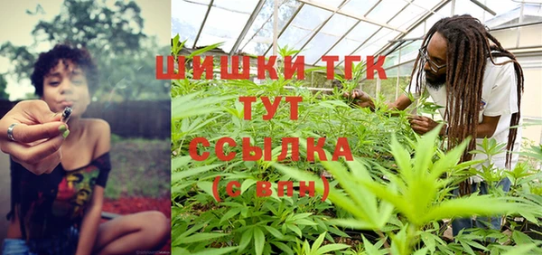 соль курить ск Бородино