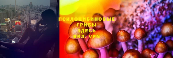 соль курить ск Бородино
