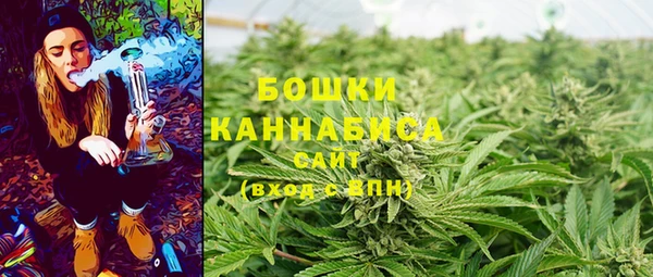 соль курить ск Бородино
