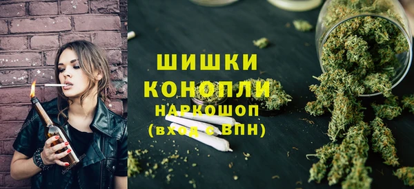 сатива Бронницы
