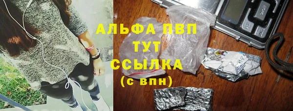 сатива Бронницы