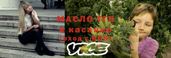 сатива Бронницы