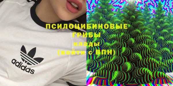 jwh Богородицк