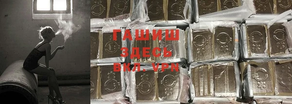 сатива Бронницы