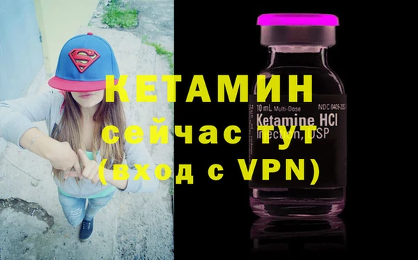 сатива Бронницы