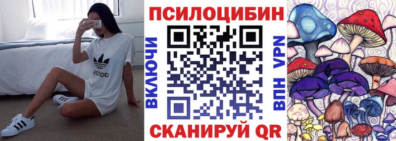 Галлюциногенные грибы GOLDEN TEACHER  как найти закладки  Канск 