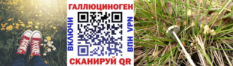 Псилоцибиновые грибы мухоморы Канск